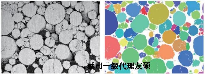 FIB双束绥化扫描电镜crossbeam